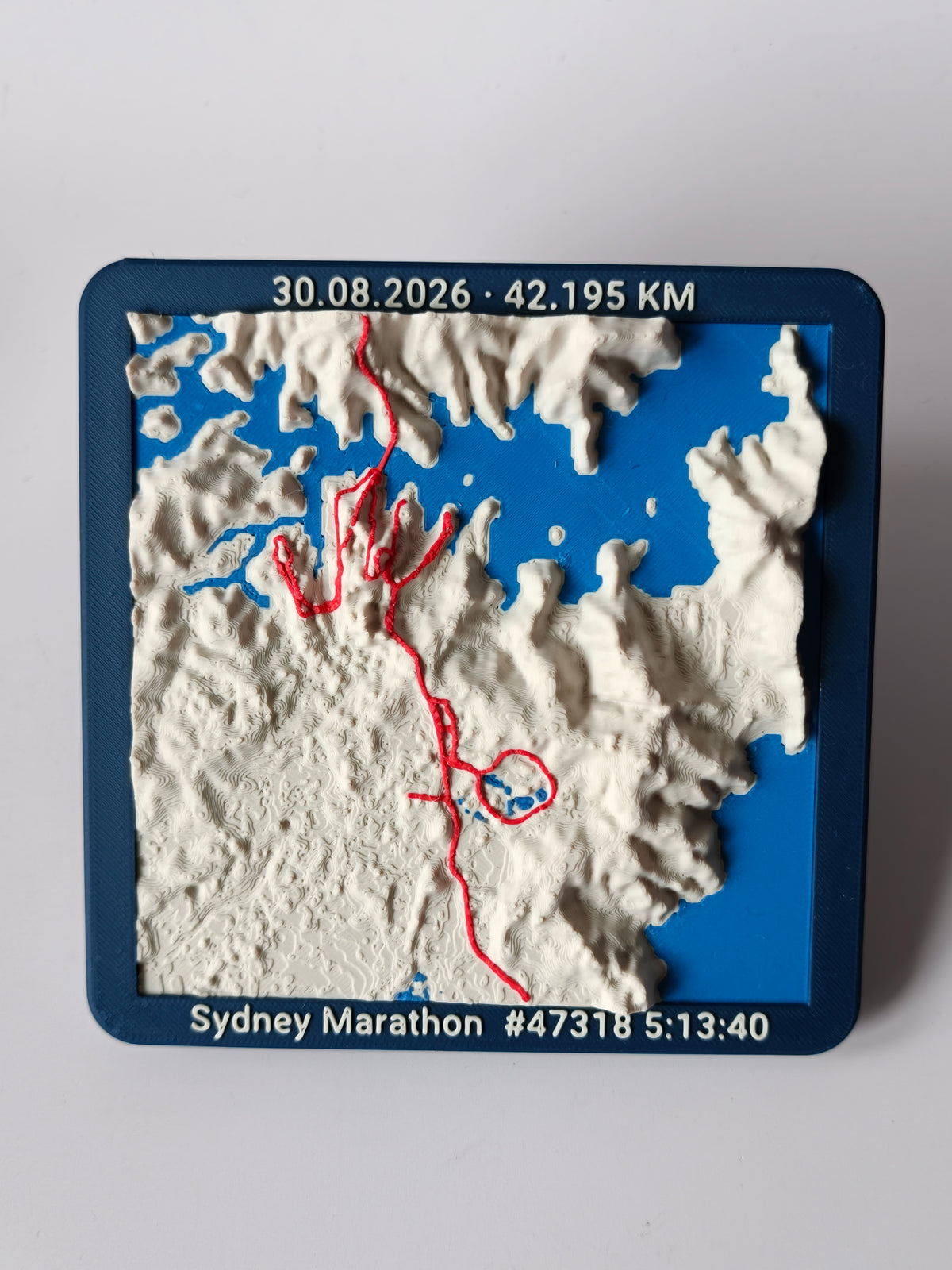 Sydney Marathon 30/8/26